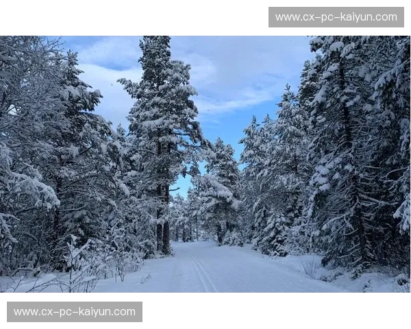 冰与火的欧陆博弈：当挪威森林遇见波希米亚狂想曲